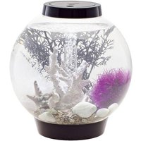 Oase 71999 Aquarium biOrb CLASSIC 15 LED schwarz 15l mit LED-Beleuchtung von Oase