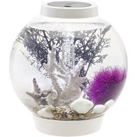 Oase 72001 Aquarium biOrb CLASSIC 15 LED weiß 15l mit LED-Beleuchtung von Oase