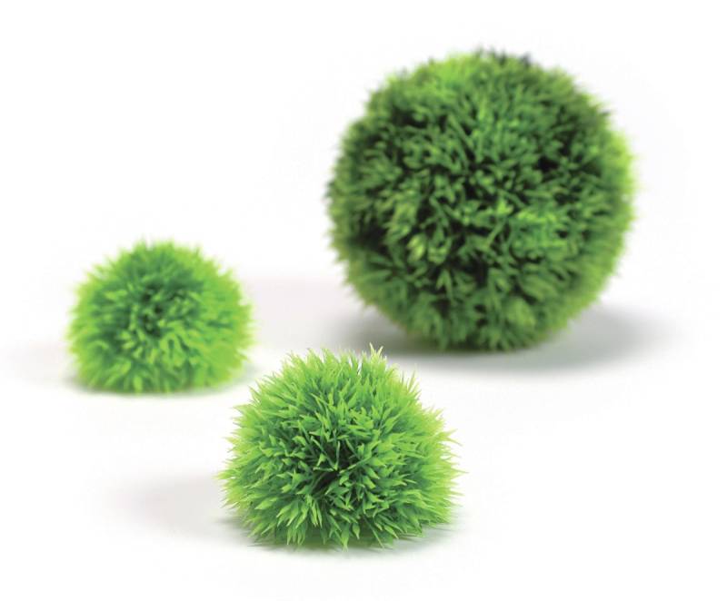 biOrb Dekogewächsball Set 3 grün (46060) von biOrb
