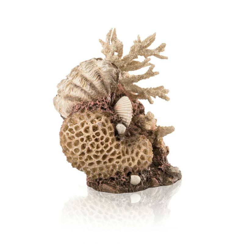 biOrb Korallen-Muschel Ornament natural (48360) von biOrb