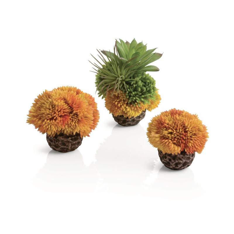 biOrb Korallenball Set orange von biOrb