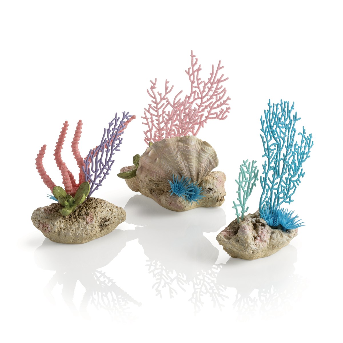 biOrb Korallenfächer & Muschel Set von biOrb