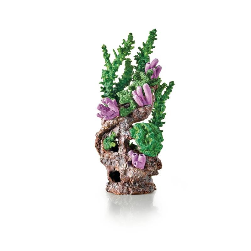biOrb Korallenriff-Ornament grün von Oase