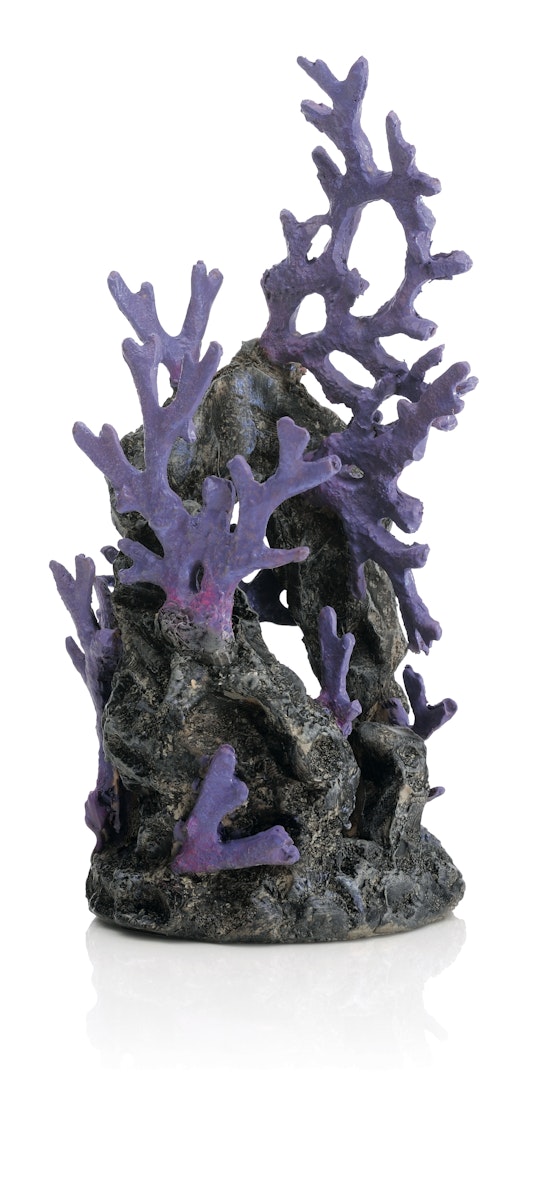 biOrb Korallenriff Ornament lila (46131) von biOrb
