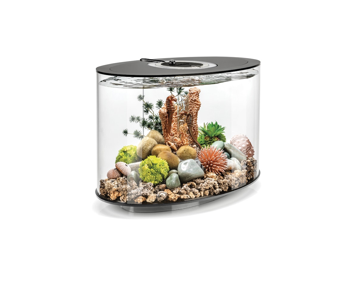 biOrb LOOP 15 LED schwarz biOrb LOOP 15 LED schwarz von Oase