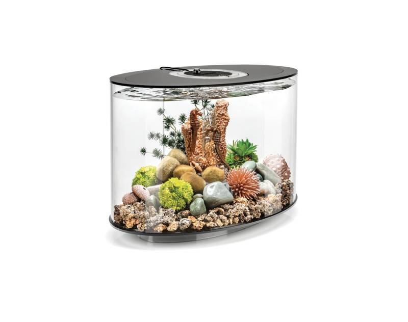 biOrb LOOP 15 LED schwarz von Oase