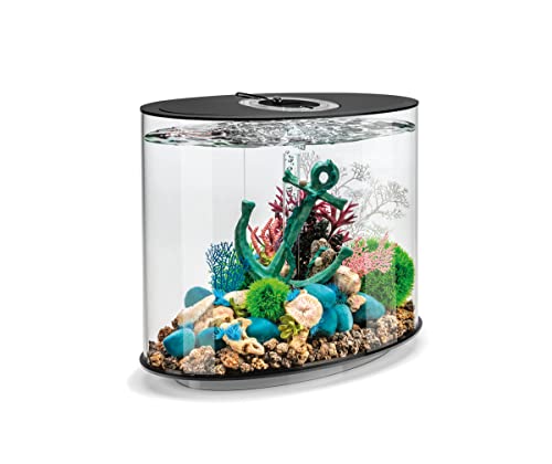 biOrb LOOP 30 LED Aquarium, 30 Liter, schwarz - Aquarien-Komplett-Set mit patentiertem Filtersystem, Lichteinheit, Acryl-Becken in elliptischer Form biOrb LOOP 30 LED Aquarium, 30 Liter, schwarz - Aquarien-Komplett-Set mit patentiertem Filtersystem, Lichteinheit, Acryl-Becken in elliptischer Form von Oase