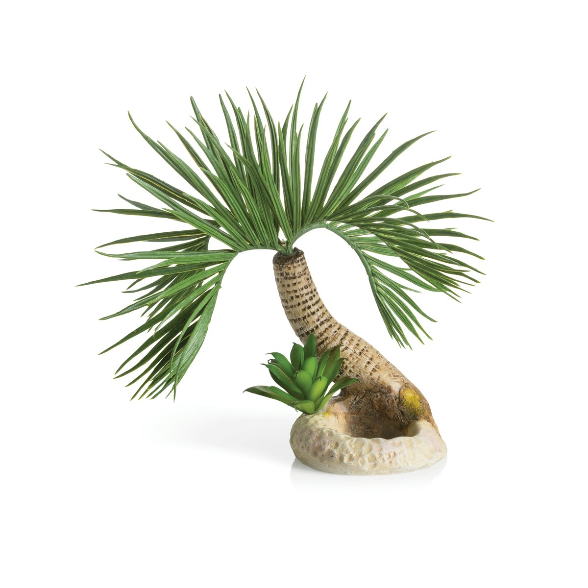 biOrb Palme Seychellen S (72679) von biOrb