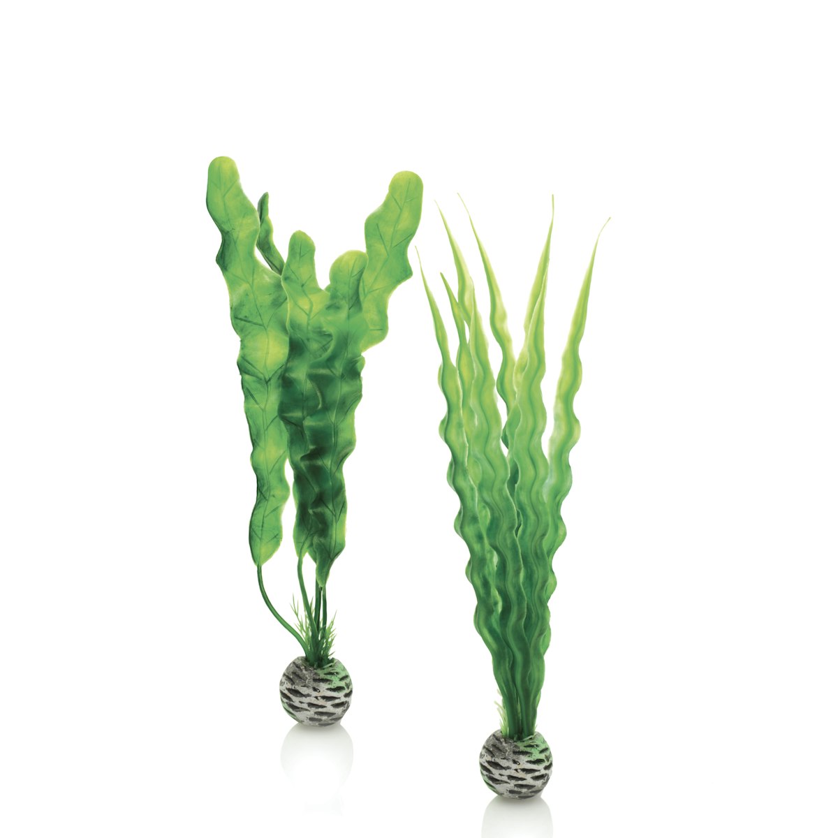 biOrb Pflanzen Set mittelgroß grün (46056) von biOrb