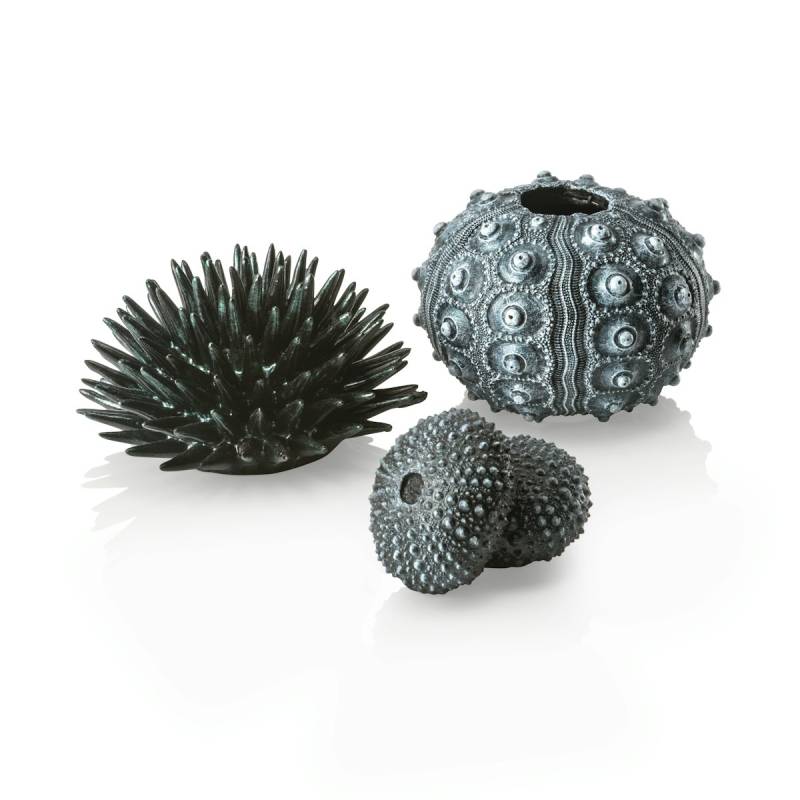 biOrb Seeigel Set schwarz (48365) von biOrb