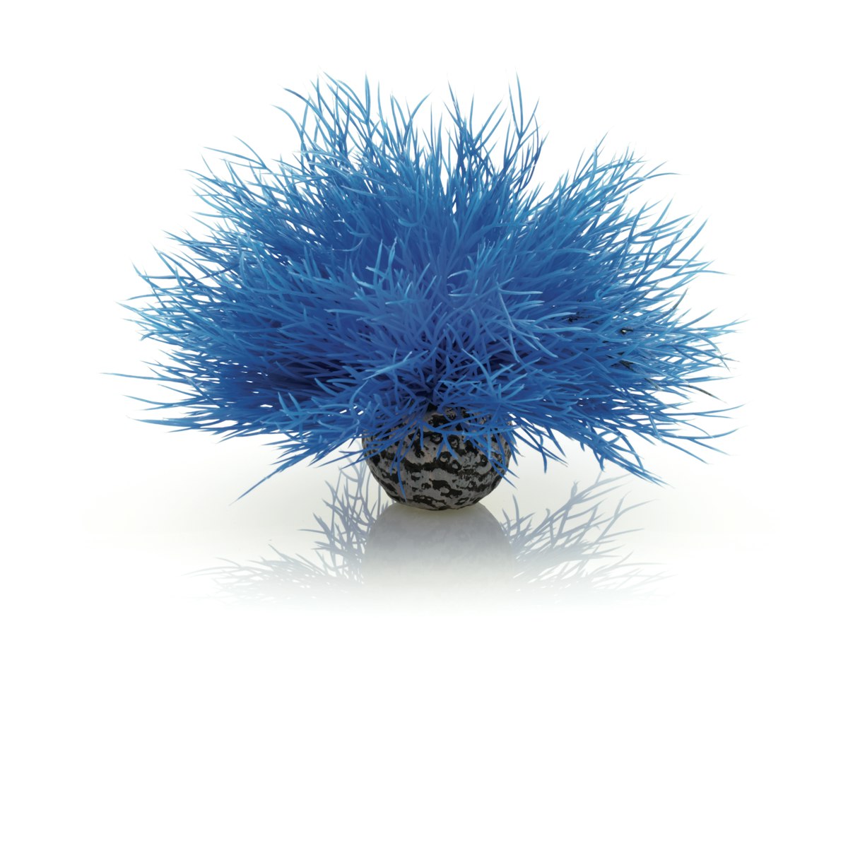 biOrb Seelilie blau (46076) von biOrb