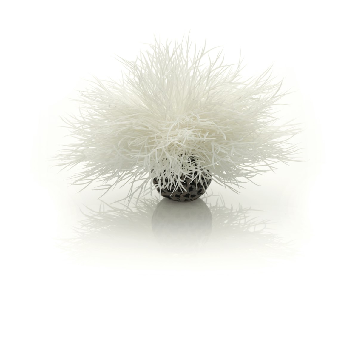 biOrb Seelilie weiß (46078) von biOrb
