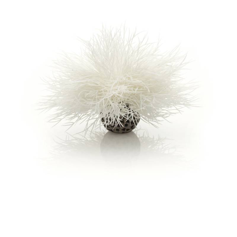 biOrb Seelilie weiß (46078) von biOrb