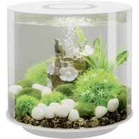 Oase 72063 Aquarium biOrb TUBE 15 LED weiß 15l mit LED-Beleuchtung von Oase