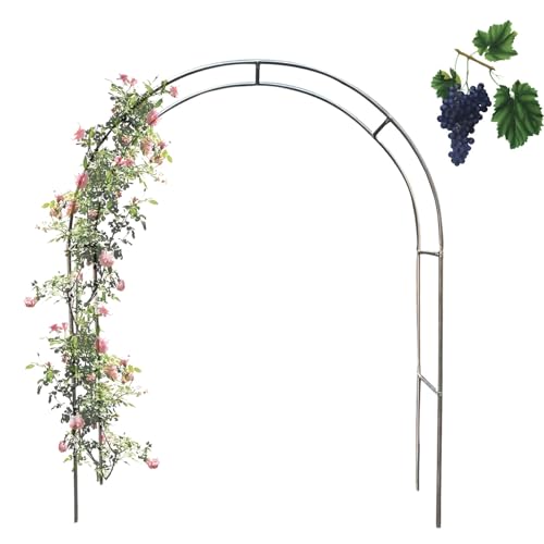 Rosenbogen Rankhilfe Gartenbogen, Stabil Metall Rankbogen Rosenhilfe, Gartenbogen Aus Edelstahl, Rosen Torbogen, Rankgitter Spalier Für Rosen, Efeu, Clematis, Kletterpflanzen(2.6x2.4m) von Oasisony