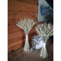 Großer Trockener Weizenstrauß Getrockneter Rustikale Hochzeit Dekor Landhaushochzeit Hauseinweihung Trocken Hochzeit Strauß Getrocknetes Getreide von Oaze