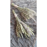 Kleiner Trockengrasstrauß Trockengrasstrauß Getrocknetes Wildgras Bouquet Konvolut Getrocknete Wildblumen Rustikale Tischdekoration Hochzeit von Oaze