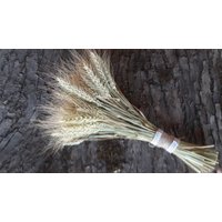 Natürlicher Weizenstrauß Getrocknete Weizenbündel Rustikale Hochzeitsbündel Getreidebündel Triticale Haferbündel Boho von Oaze