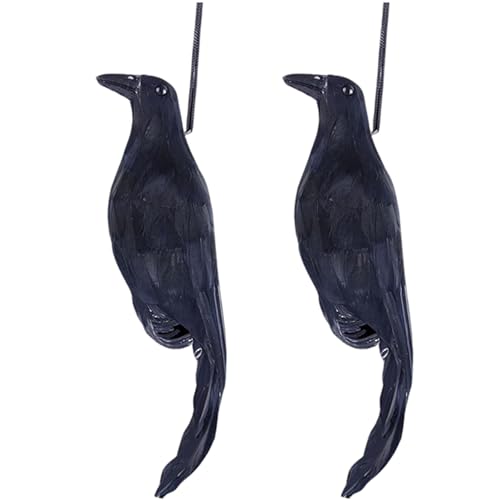 2pcs Schwarze Krähen, realistische gefiederte Raven -Dekor, schwarzer Vogel für Halloween -Requisiten Home Yard Gardenhallaeen Dekorationen 2pcs Schwarze Krähen, realistische gefiederte Raven -Dekor, schwarzer Vogel für Halloween -Requisiten Home Yard Gardenhallaeen Dekorationen von Obelunrp