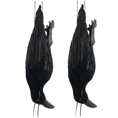 Obelunrp Halloween Crows Decor, 2pcs 40 cm realistische gefiederte Tote Raben hängende Dekorationen für Halloween, Ravens Requisite für Spukhaus Friedhof Obelunrp Halloween Crows Decor, 2pcs 40 cm realistische gefiederte Tote Raben hängende Dekorationen für Halloween, Ravens Requisite für Spukhaus Friedhof von Obelunrp