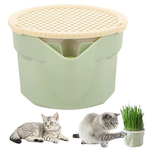 Obelunrp Katzengras -Pflanzer 3, 5 Zoll Kunststoffhydroponic Cat Grass Cup Box Leicht zu züchtungsfreies wiederverwendbares Weizengras -Wachstumskit -Sprouter für Innenkatzen, Becher Obelunrp Katzengras -Pflanzer 3, 5 Zoll Kunststoffhydroponic Cat Grass Cup Box Leicht zu züchtungsfreies wiederverwendbares Weizengras -Wachstumskit -Sprouter für Innenkatzen, Becher von Obelunrp