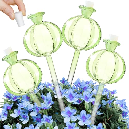 Obelunrp Wasserkugel für Innenpflanzen, 4PCS -Orchidee -Pflanzen -Wassergloben, Glaspflanze Selbstbewässerung, Wasserkugel für Pflanzenblüten (grün) von Obelunrp