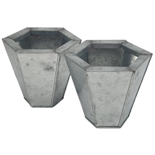 Oberle 2 Neue Zink Töpfe 6-eckig Topf in Silber Blumentopf Neu - Pflanzen - Frühjahr - Sommer - 50129 von Oberle