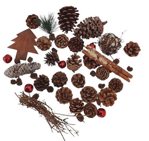 Oberle Streudeko Weihnachten Tannenzapfen Sortiment + Accessoires Verschiedene Größen und Farben Adventskranz 80582 von Oberle
