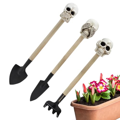 Handschaufel für die Gartenarbeit, Miniatur-Gartenschaufel – 3-teilige Gartenschaufel mit Schaufel zum Umpflanzen von Miniatur-Schädeln | Handwerkzeug für den Boden, Gartenwerkzeug Handschaufel für die Gartenarbeit, Miniatur-Gartenschaufel – 3-teilige Gartenschaufel mit Schaufel zum Umpflanzen von Miniatur-Schädeln | Handwerkzeug für den Boden, Gartenwerkzeug von Obesntln