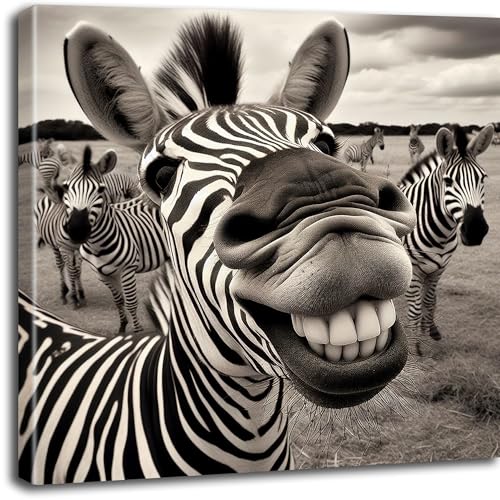 Objectz Leinwandbild Smiling Zebra/lachendes Zebra - witziges Wandbild auf Leinwand - verschiedene Formate - aufhängfertig (60 x 60 cm) von Objectz