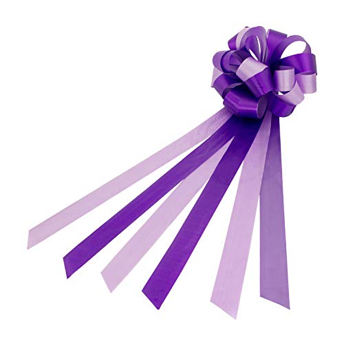 Oblique Unique® Geschenk Schleife Groß mit Geschenkband Glänzend für Geschenke Tüten Zuckertüten zum Basteln Dekorieren Verzieren - wählbar (Lila) von Oblique Unique
