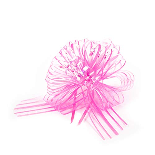 Oblique Unique® Geschenk Schleife mit Geschenkband Glänzend für Geschenke Tüten Zuckertüten zum Basteln Dekorieren Verzieren 15 x 18cm - wählbar (Rosa) von Oblique Unique