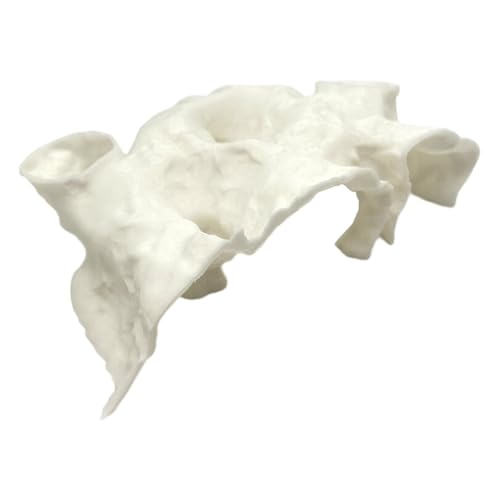 Obotsnoi PETG Fisch-Garnelen-Unterschlupf, Höhle mit mehreren Eingängen für Territoriale Arten, Lebensraumverbesserung und Stressabbau, PETG-Aquarien, Höhle von Obotsnoi