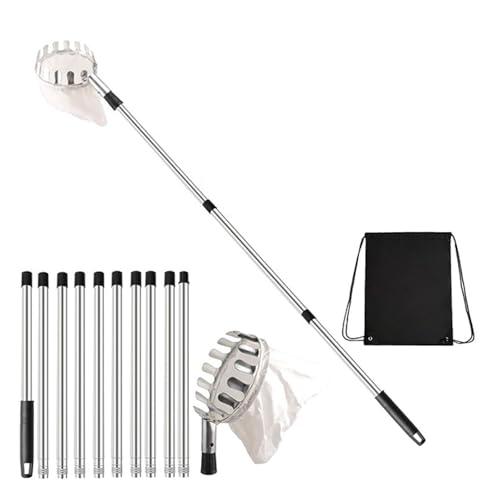 Professionelles Gartenernte Gerät Ausleitbares Bis Zu 13 Fuß Mit Metallkopf Zum Sammeln Von Orangen Birnen In Farms Orchards Kein Leiter Fruchtzupfen Gerät Professionelles Gartenernte Gerät Ausleitbares Bis Zu 13 Fuß Mit Metallkopf Zum Sammeln Von Orangen Birnen In Farms Orchards Kein Leiter Fruchtzupfen Gerät von Obotsnoi