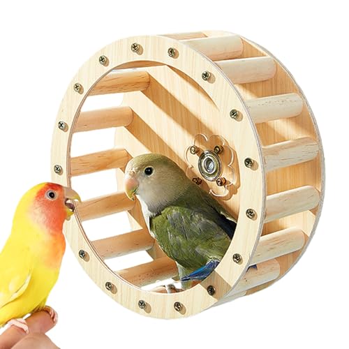 Ocastuted Vogellaufrad Spielzeug, Drehbarer Sitzring Zum Trainieren, Holz Trainingsspiel Für Nymphensittiche Agaporniden Und Aras Ocastuted Vogellaufrad Spielzeug, Drehbarer Sitzring Zum Trainieren, Holz Trainingsspiel Für Nymphensittiche Agaporniden Und Aras von Ocastuted