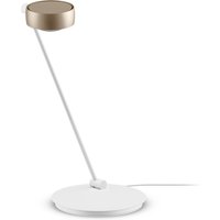 Occhio Sento C tavolo LED Tischleuchte, 60 cm, 2700 K von Occhio