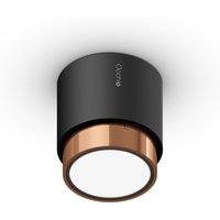 Occhio lui alto v Volt Z Deckenstrahler, 2700 K schwarz matt, Objektiv: Roségold Occhio lui alto v Volt Z Deckenstrahler, 2700 K schwarz matt, Objektiv: Roségold von Occhio