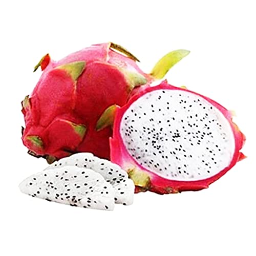 Oce180anYLVUK 500pcs / Pitaya-Samen-Tasche mehrjährige Pflanzen umweltfreundliche Pflanzen innenpflanzen für den Garten im Freien Weiß von Oce180anYLVUK