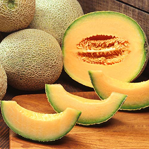 Oce180anYLVUK Hami Melonensamen, 100 Stück Beutel Hami Melonensamen Lecker DIY Köstliche Melone Melonensamen Süße Fruchtsamen Für Den Garten Cantaloupe Samen von Oce180anYLVUK