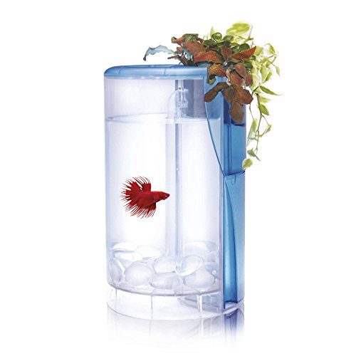 Ocean Free AT620A Kit Betta Flora LED, cremefarben von Ocean Free