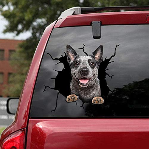 Ocean Gift Australian Cattle Dog Auto Decals, Dog Car Stickers Pack of 2 - Realistic Blue Heeler Aufkleber für Autofenster, Wände Serie 41 Größe 30,5 cm x 30,5 cm von Ocean Gift