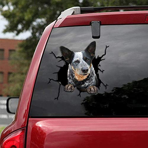 Ocean Gift Australian Cattle Dog Car Decals, Dog Car Stickers 2 Pack - Realistic Blue Heeler Stickers for Car Windows, Walls Series 59 Size 10" x 10" Ocean Gift Australian Cattle Dog Car Decals, Dog Car Stickers 2 Pack - Realistic Blue Heeler Stickers for Car Windows, Walls Series 59 Size 10" x 10" von Ocean Gift