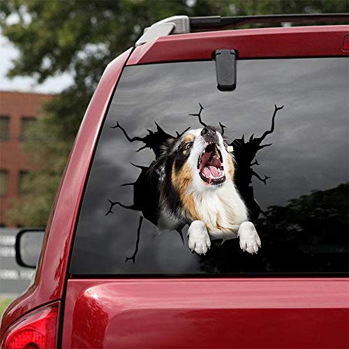 Ocean Gift Australian Shepherd Auto Decals, Hund Auto Aufkleber 2 Stück - Aufkleber für Autofenster, Wände Serie 25 Größe 30,5 cm x 30,5 cm von Ocean Gift