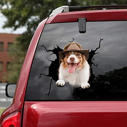 Ocean Gift Australian Shepherd Auto Decals, Hund Auto Aufkleber 2 Stück - Aufkleber für Autofenster, Wände Serie 25 Größe 30,5 cm x 30,5 cm von Ocean Gift