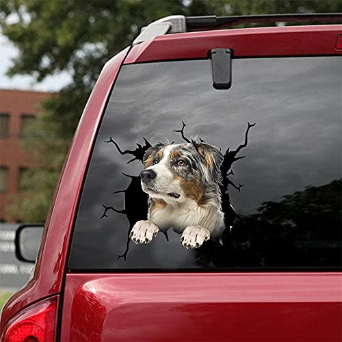 Ocean Gift Australian Shepherd Auto Decals, Hund Auto Aufkleber 2 Stück - Realistische Australian Shepherd Aufkleber für Autofenster, Wände Serie 106 Größe 30,5 cm x 30,5 cm von Ocean Gift