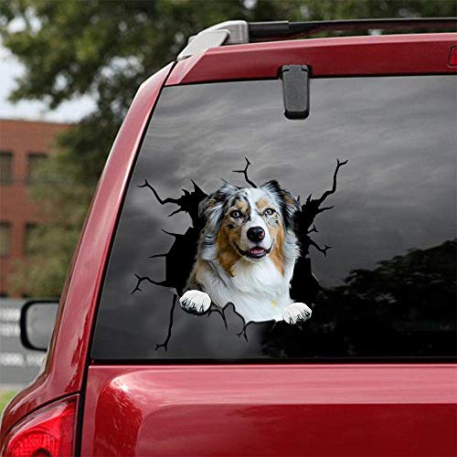 Ocean Gift Australian Shepherd Car Decals, Dog Car Stickers Pack of 2 - Sticker for Car Windows, Walls Series 25 Size 25.4cm x 25.4cm Ocean Gift Australian Shepherd Car Decals, Dog Car Stickers Pack of 2 - Sticker for Car Windows, Walls Series 25 Size 25.4cm x 25.4cm von Ocean Gift