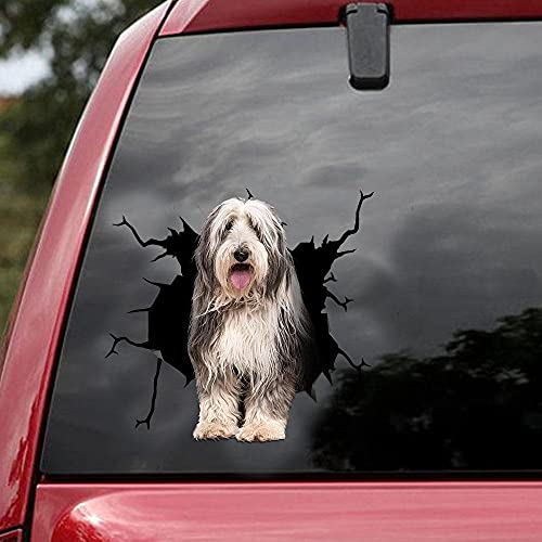Ocean Gift Bearded Collie Auto Aufkleber, Hund Auto Aufkleber 2 Stück - Realistische Bearded Collie Aufkleber für Autofenster, Wände Serie 101 Größe 25,4 x 25,4 cm von Ocean Gift