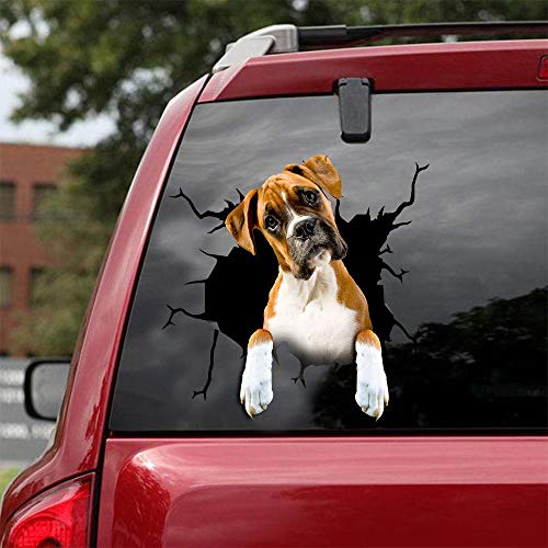 Ocean Gift Boxer Auto Aufkleber, Hund Auto Aufkleber 2 Stück - Realistische Boxer Aufkleber für Autofenster, Wände Serie 44 Größe 20,3 cm x 20,3 cm von Ocean Gift