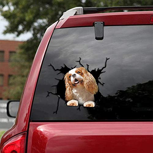 Ocean Gift Cavalier King Charles Spaniel Auto Decals, Hund Auto Aufkleber 2 Stück - Realistische Cavalier King Charles Spaniel Aufkleber für Autofenster, Wände Serie 43 Größe 30,5 cm x 30,5 cm von Ocean Gift