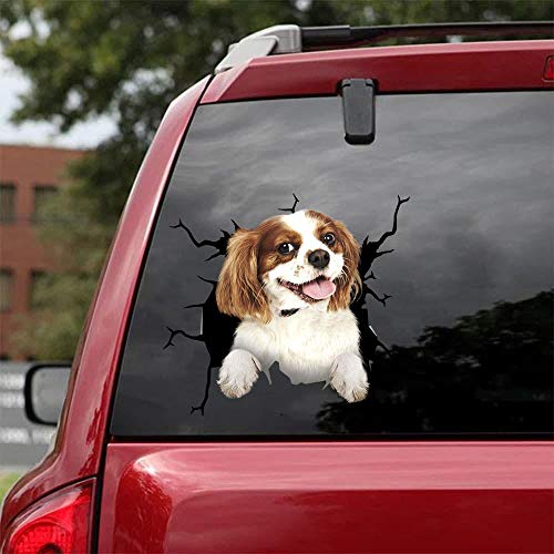 Ocean Gift Cavalier King Charles Spaniel Auto Decals, Hund Auto Aufkleber 2 Stück - Realistische Cavalier King Charles Spaniel Aufkleber für Autofenster, Wände Serie 62 Größe 30,5 cm x 30,5 cm von Ocean Gift